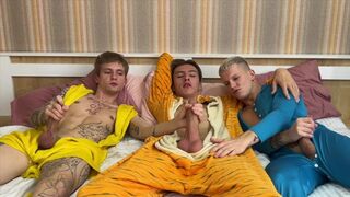 Hot fuck of a sleamber party between boys
