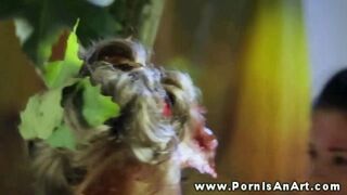 Two hot girls licking her pussy outdoor